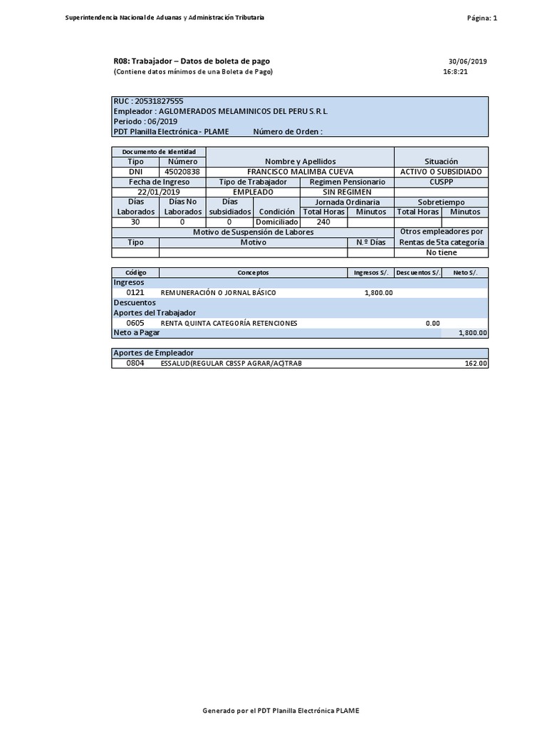 R08: Trabajador - Datos de Boleta de Pago: Superintendencia Nacional de ...