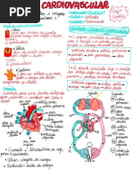 Resumo Sistema Cardiovascular
