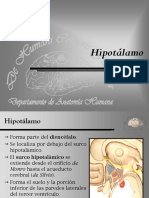 hipotalamo.ppt