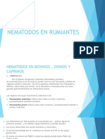 Nematodos en Rumiantes