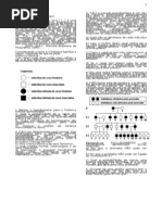GENÉTICA PROBABILIDADE