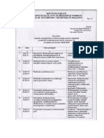 Plan-tematic-sem-VI-Ro-Ru.pdf