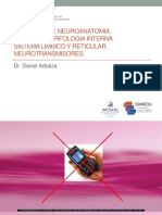 2da Charla de Neuroanatomía PDF