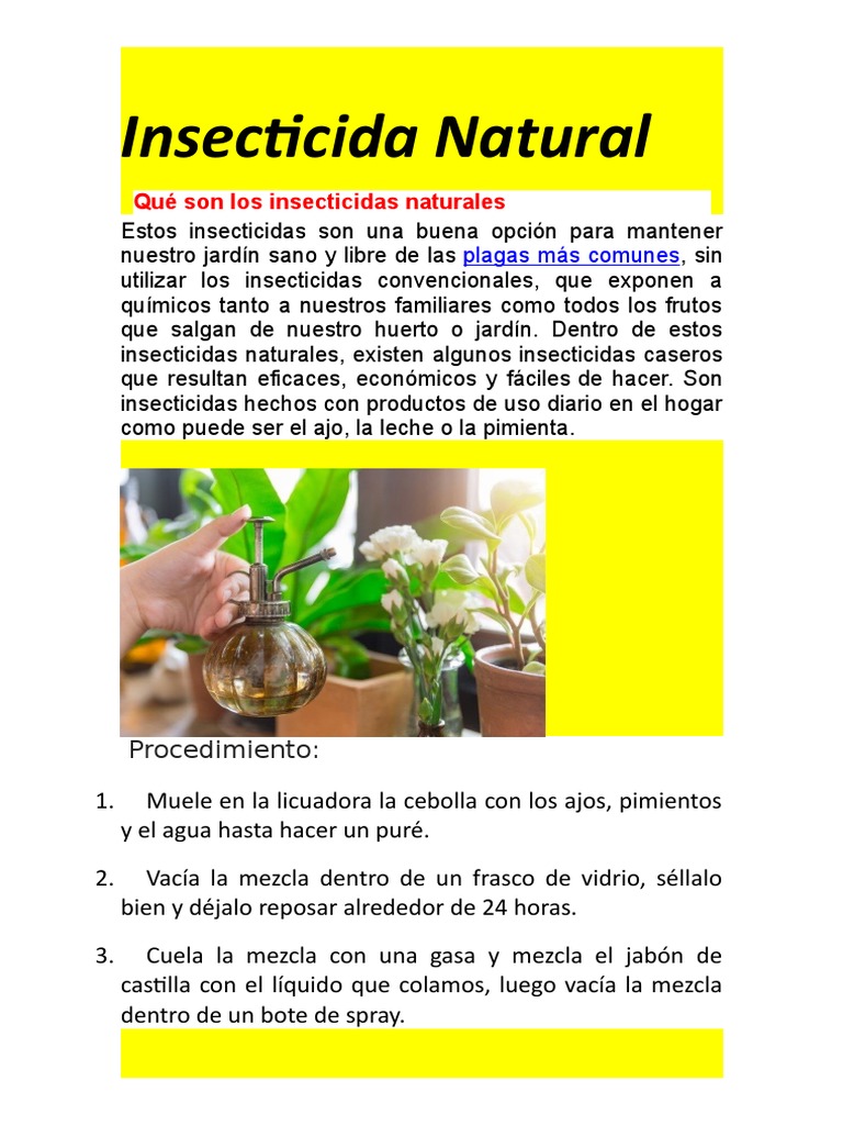Cómo puedo hacer un insecticida natural en casa?, prueba esta opción de  flor de manzanilla