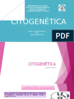 Citogenética Expo Completo