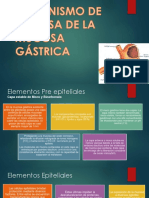 Mecanismo de Defensa de La Mucosa Gástrica