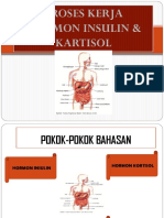 ANFIS Hormon Insulin & Kortisol