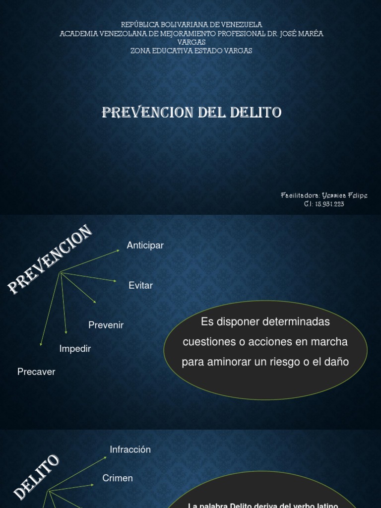Estrategias para la Prevención del Delito | PDF | La violencia contra ...
