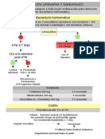 Protocolo Bacteriuria Asintomática