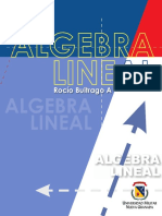 ALGEBRA LINEAL_Buitrago A. Rocío.pdf