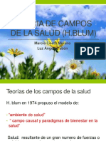 TEORIA DE CAMPOS DE LA SALUD (H Profe