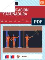 7.fortificacion-acunadura(1).pdf