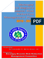 BARANGAY LITTLE BAGUIO DISASTER RISK REDUCTION AND MANAGEMENT PLAN 2019-2021 Rev May