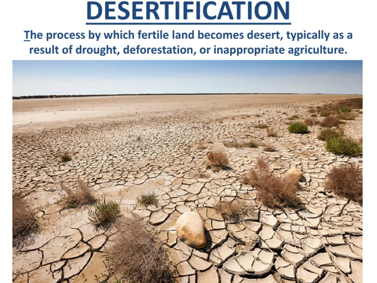 The Process by Which Fertile Land Desert, Typically As A Result
