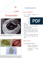 Trematodos Tisulares - Resumen Libro de Botero