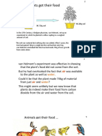 6.plant Nutrition Overview