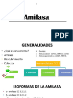 Amilasa (29