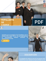 Info-Tripulante-de-cabina-Auxiliar-de-vuelo-2019-1.pdf