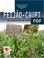 O cultivo e importância socioeconômica do feijão-caupi no Brasil
