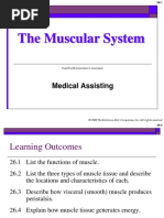 The Muscular System 1