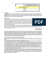 El Texto Argumentativo 1ero Medio B