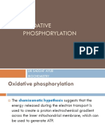 FoF1 ATP Synthase Drives Oxidative Phosphorylation