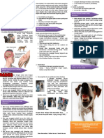 Leaflet Rabies