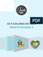 PROJETO-NATANAEL-3.pdf