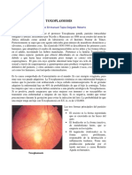 16642682-toxoplasmosis.pdf