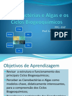 Cianobactérias e Algas e Os Ciclos Biogeoquímicos - 2014