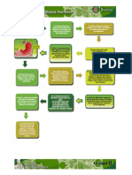 Proceso de la digestión