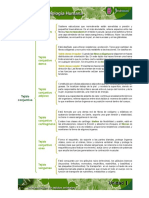 Tejido conjuntivo.pdf