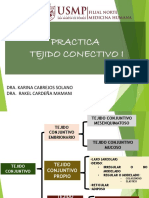 Usmp Practica 2 Tej Conetivo