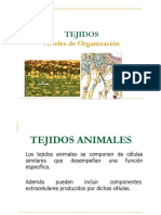 TEJIDOS ANIMALES y VEGETALES (Modo de Compatibilidad)