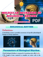 Biological Rhythm