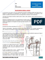 Insuficiencia Renal Aguda I