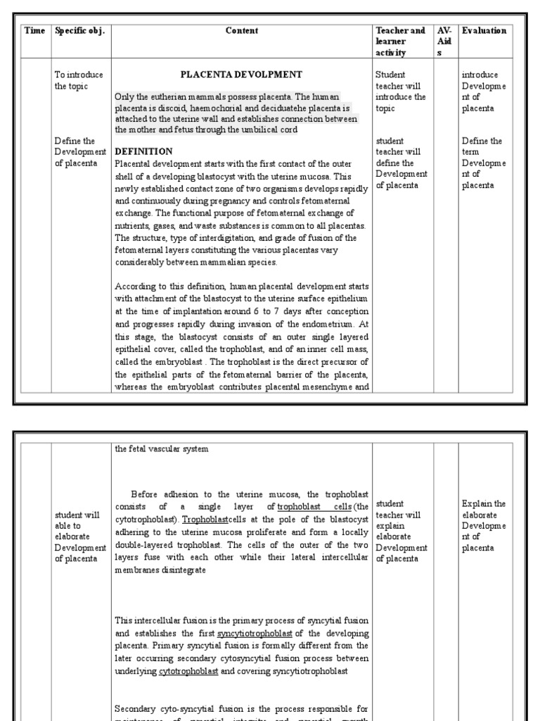 Development and Physiology of the Human Placenta | PDF | Placenta ...
