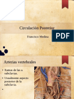 Circiculacion Posterior SL