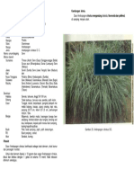 1-023-Sereh Masak PDF
