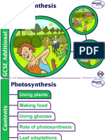 Boardworks Photosynthesis