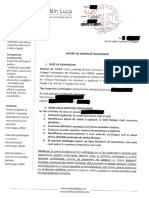 Raport de Expertiză Psihologică - Psih. Luca Cătălin - Tată Și Minor - Anonimizat-Min PDF