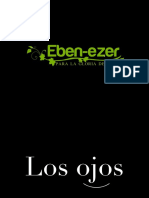 Proteger nuestros ojos: la guerra contra la inmoralidad