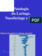 Cabeca e Pescoco 2 - Neo Boca Nasofaringe Laringe NX