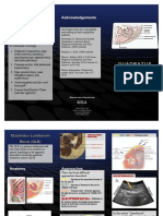 MSA 16FC Handout Ultrasound 2quadratus