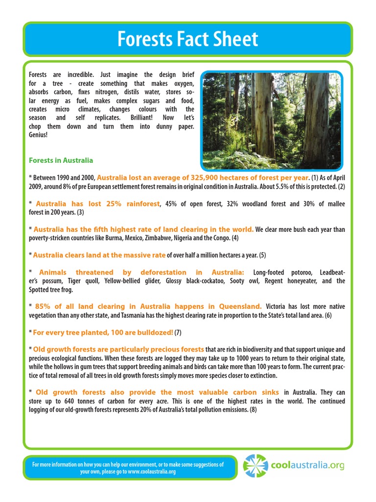Forests Fact Sheet1 | Download Free PDF | Forests | Deforestation
