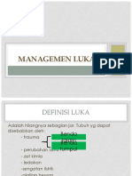 Management Luka e