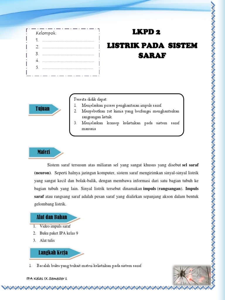 Zat Kimia Yang Berfungsi Untuk Menghantarkan Rangsang Listrik Studi Indonesia