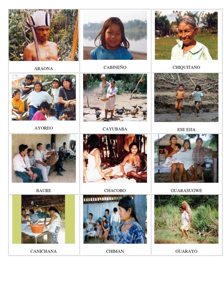 Imagen 36 Etnias de Bolivia PDF