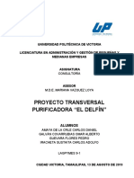 PROYECTO TRANSVERSAL DE CONSULTORÍA.pdf