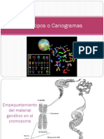 2-Biología-3-Cariotipos-o-Cariogramas.pdf